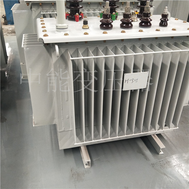 临泽S20-500KVA油浸式变压器